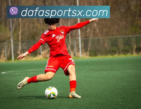 大发官网全站App